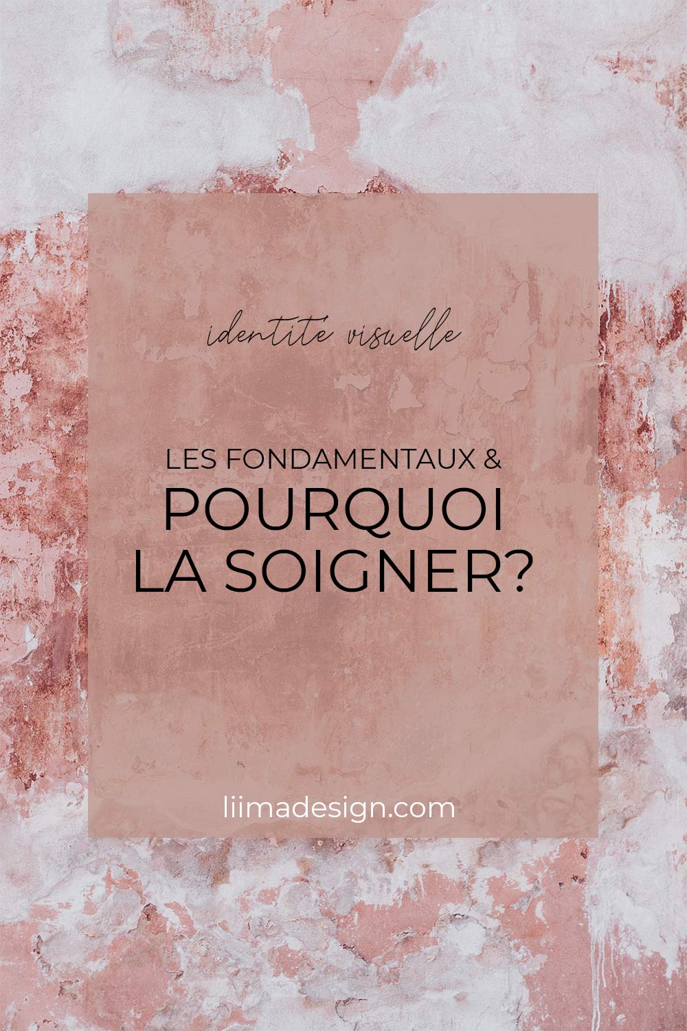 Plan de travail 1